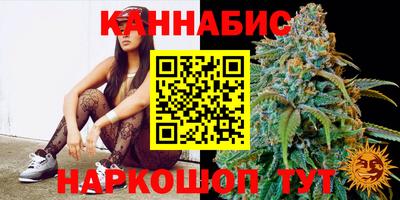 гидропоника Краснознаменск